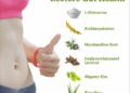 Restore Gut Health with 6 Herbs and Nutrients | Amy Myers MD