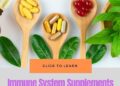 Ranking the best immune system supplements of 2021 - Body Nutrition