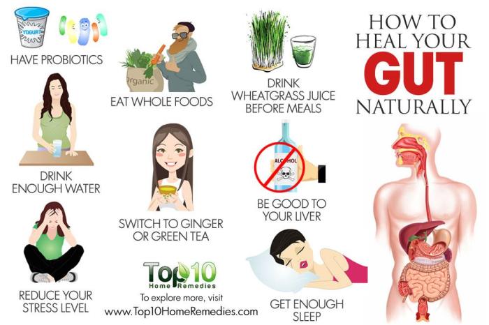 How to Heal Your Gut Naturally | Top 10 Home Remedies